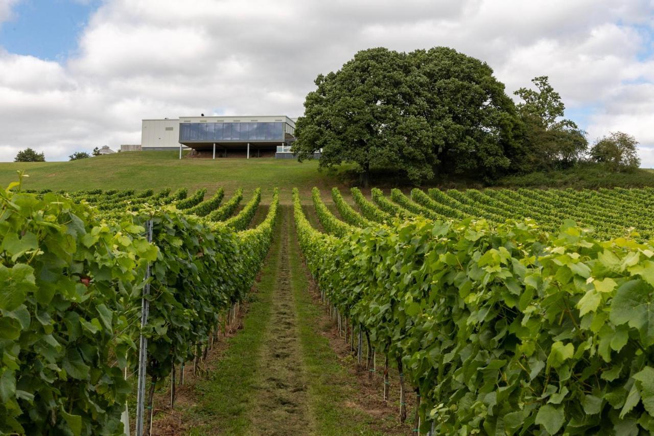 Hencote Vineyard Glamping Village Shrewsbury Zewnętrze zdjęcie